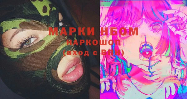 дживик Белокуриха