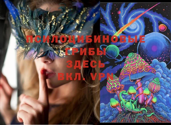 дживик Белокуриха